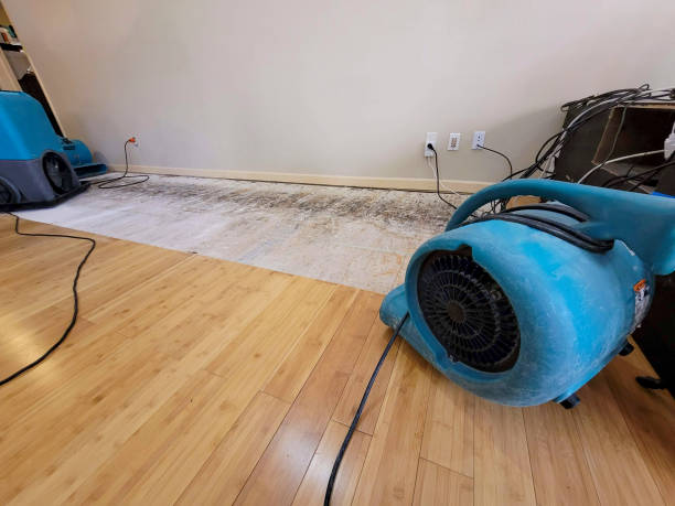 Professional Water Damage Repair technician working in Hunter, TN